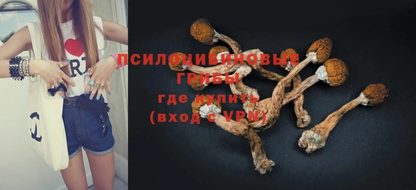 гидропоника Аркадак
