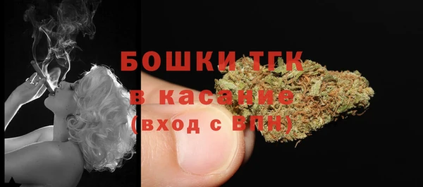 прущий лед Арсеньев
